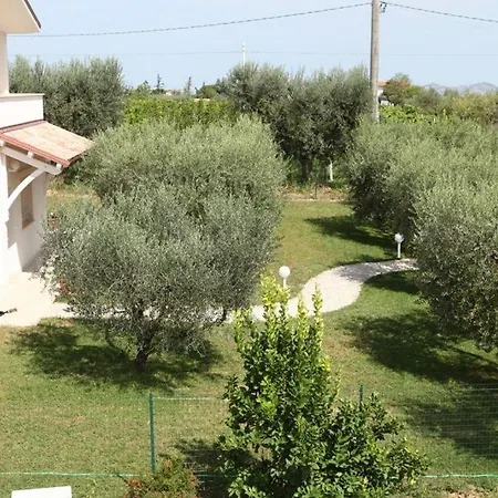 Torri